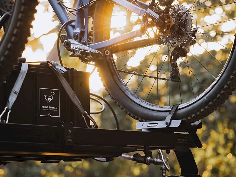 Bild wolf-pack-60ad17675f604.800x600.jpg